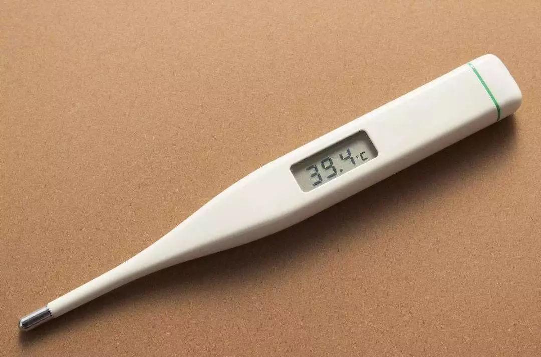 電子體溫計 電子體溫計