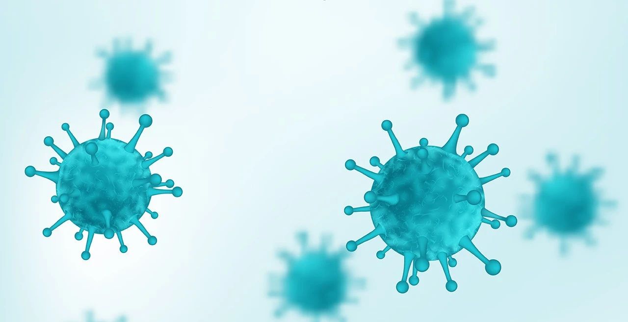 電子體溫計(jì) 電子體溫計(jì)