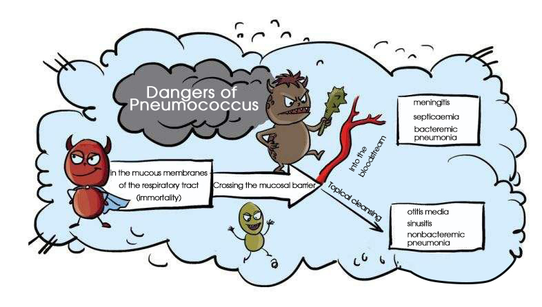 infrared thermometer infrared thermometer